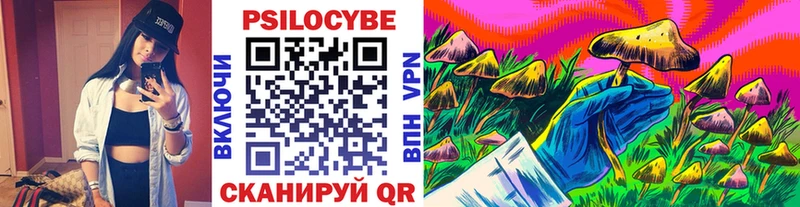 KRAKEN ТОР Сарапул Галлюциногенные грибы мицелий